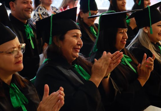 Dip en cuidados al adulto dependiente